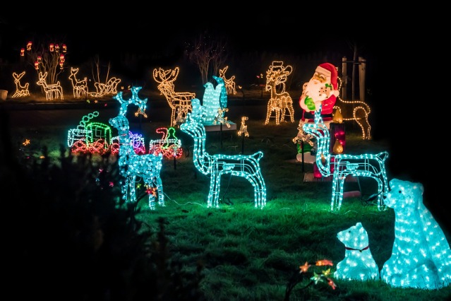 Creating Christmas Spirit in the Garden