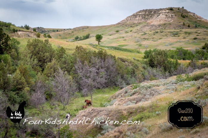 theodore roosevelt national park
