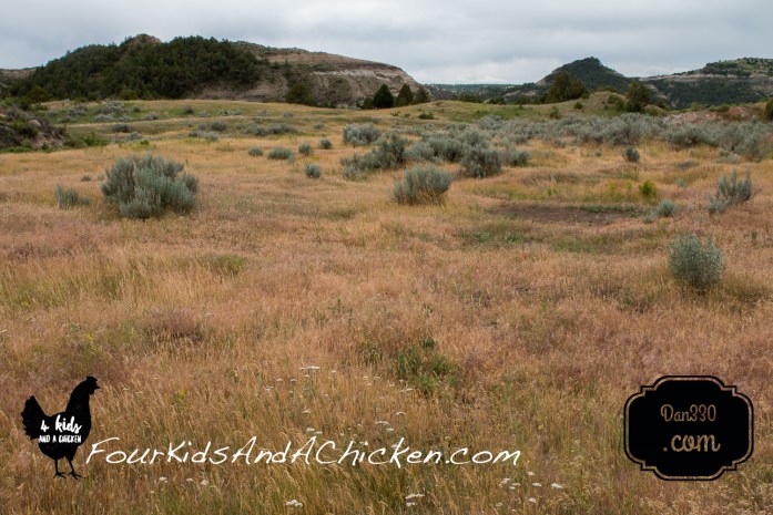 coal vein nature trail