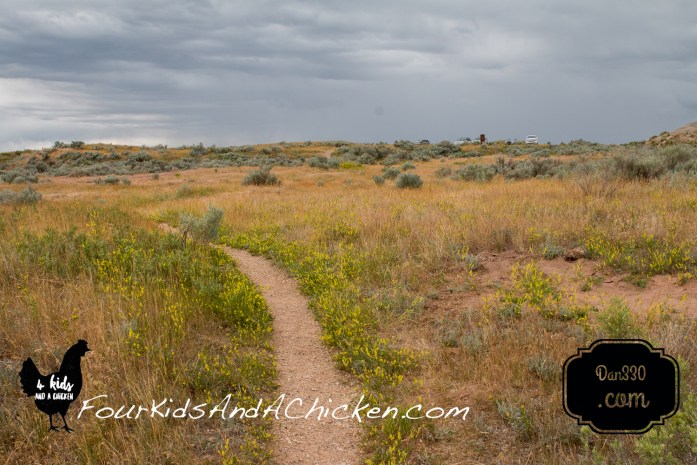 coal vein nature trail