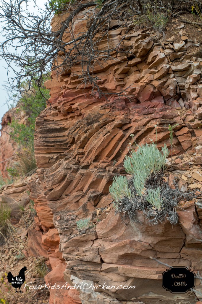 coal vein nature trail