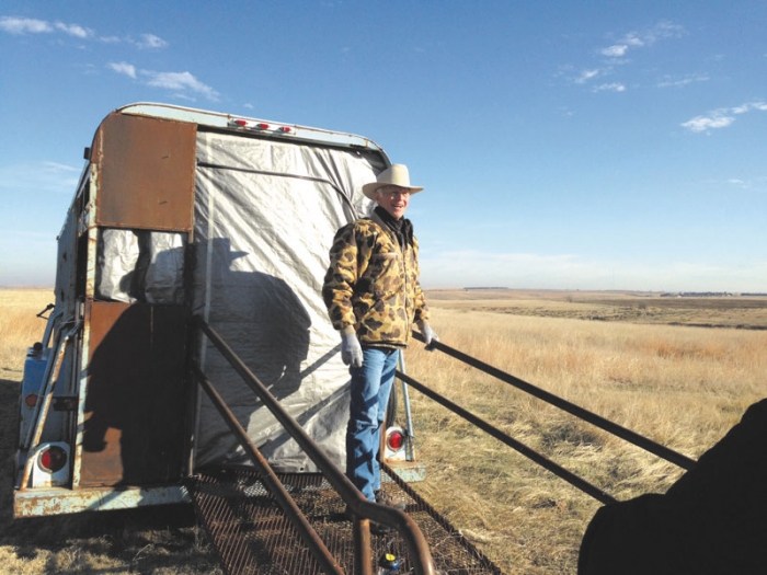 Nebraska rancher Angus Garey closes up his viewing blind after we finished watching greater prairie chickens vie for power during their annual mating dance on his ranch. (Pamela O’Meara/Review)