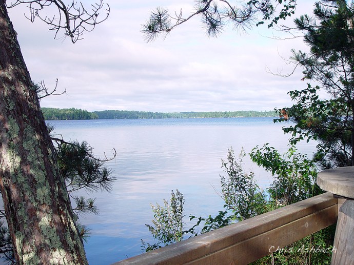 elbow lake cabin