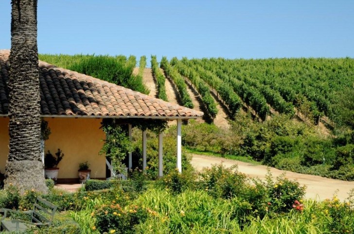 Best Place for a Glass of Wine