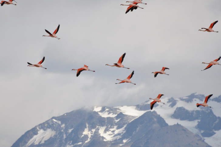 Best Hikes in South America