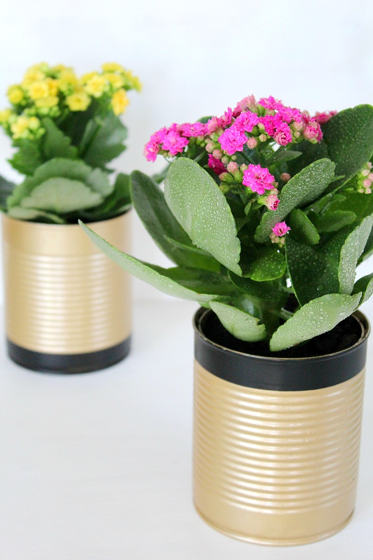 DIY recycled tin can flower pots