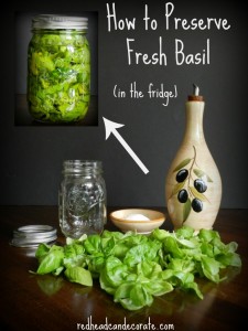 How-to-preserve-fresh-basil-in-the-refridgerator-easily.-768x1024