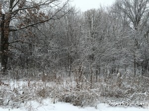 IMG_3256-1-2