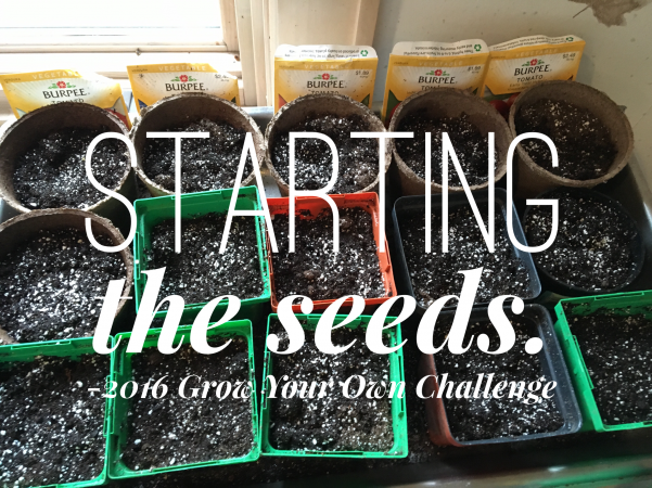 starting the seeds