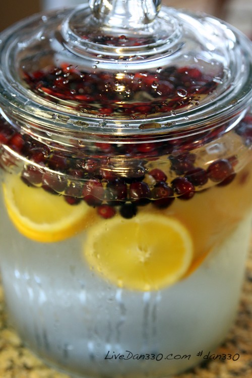 Fall Cranberry and Orange Flavored Water Dan330