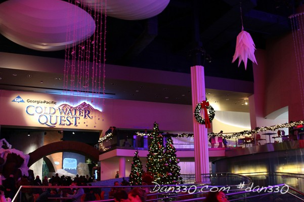 IMG_9805web